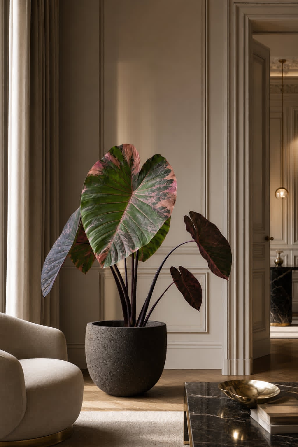 Colocasia Star Matrix